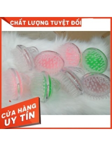 Lược gội đầu silicon FREESHIP dưỡng sinh massage da đầu, mếm, dẽo, bền, không gây đau đầu, nhỏ gọn, vừa tay, dễ mang
