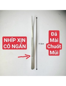 Nhíp gắp lấy ráy tai inox thẳng cao cấp đã mài chuốt mũi cho thợ cạo mặt vệ sinh lỗ nhĩ tận xưởng