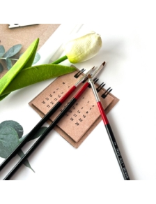 Cọ bản vẽ hoa Brush vẽ hoa đầu bản ngang vẽ hoa xoay 