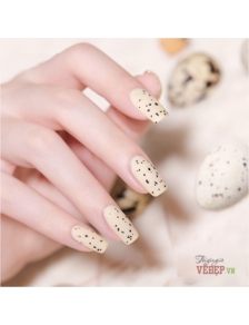 Top trứng cúc sơn trứng cúc B281 15ml 