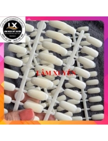 Móng xương cá đục tập sơn mẫu, đính bảng màu 